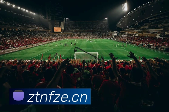 mksports在线登录平台生态图