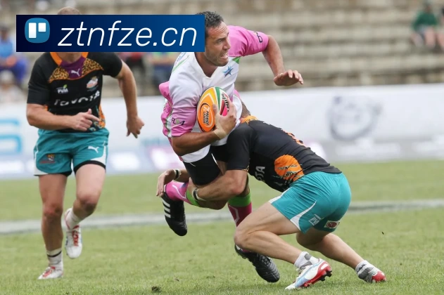 App Interface Preview