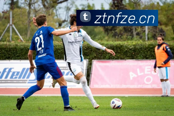 mksports在线登录全站App